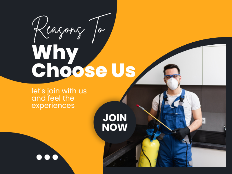 why-choose-us